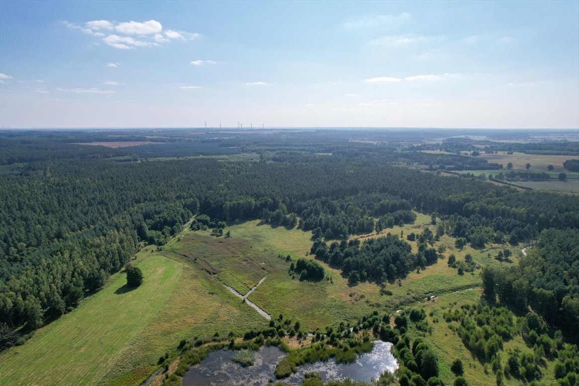 Działka budowlana na sprzedaż Lękwica, Lękwica  10 200m2 Foto 3