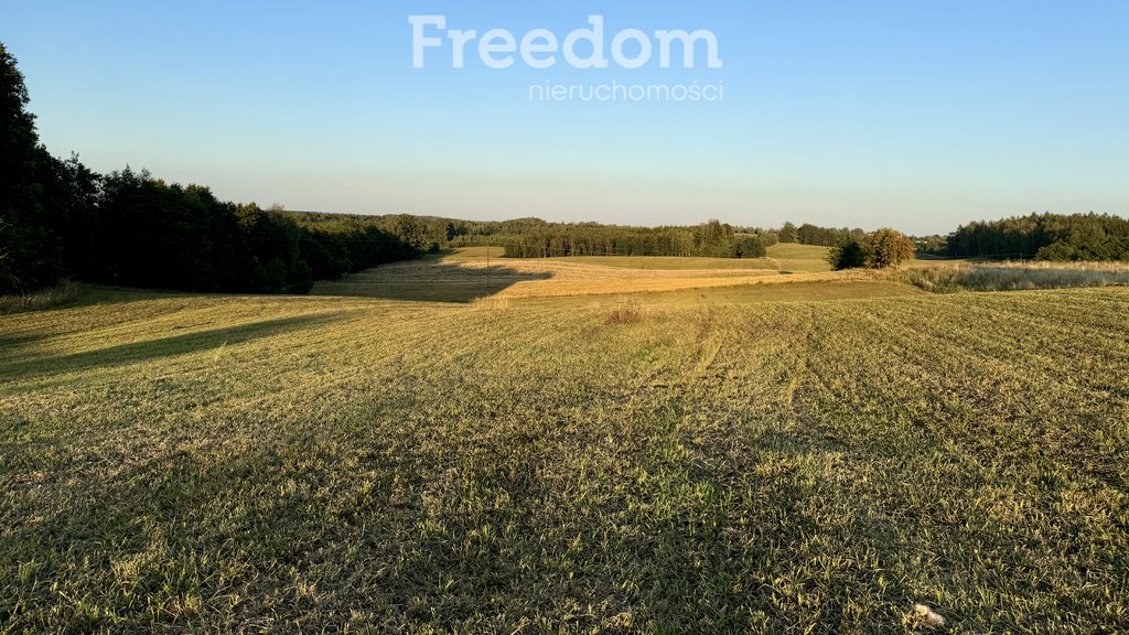 Działka budowlana na sprzedaż Wronka  1 000m2 Foto 11