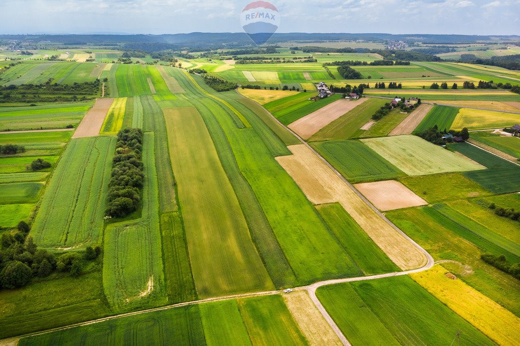 Działka inna na sprzedaż Skała  8 350m2 Foto 10