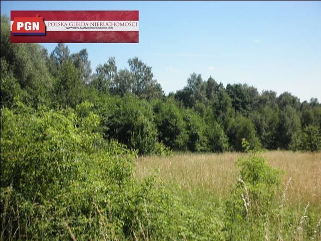 Działka 12 120 m² pod zabudowę w Polanicy-Zdroju - polecam! Polanica-Zdrój  12 120m2 Foto 1