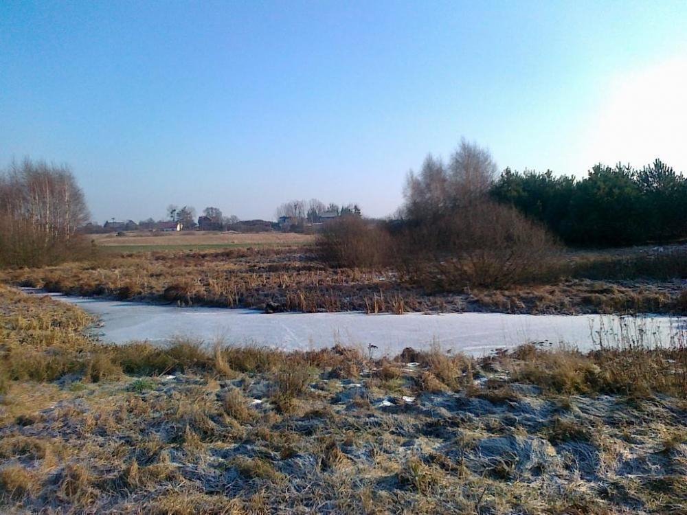 Działka inna na sprzedaż Stary Jasiniec  22 400m2 Foto 3