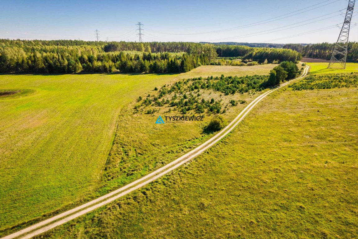 Działka 5,3 ha z pięknymi widokami i dużym potencjałem Skorzewo  52 678m2 Foto 1