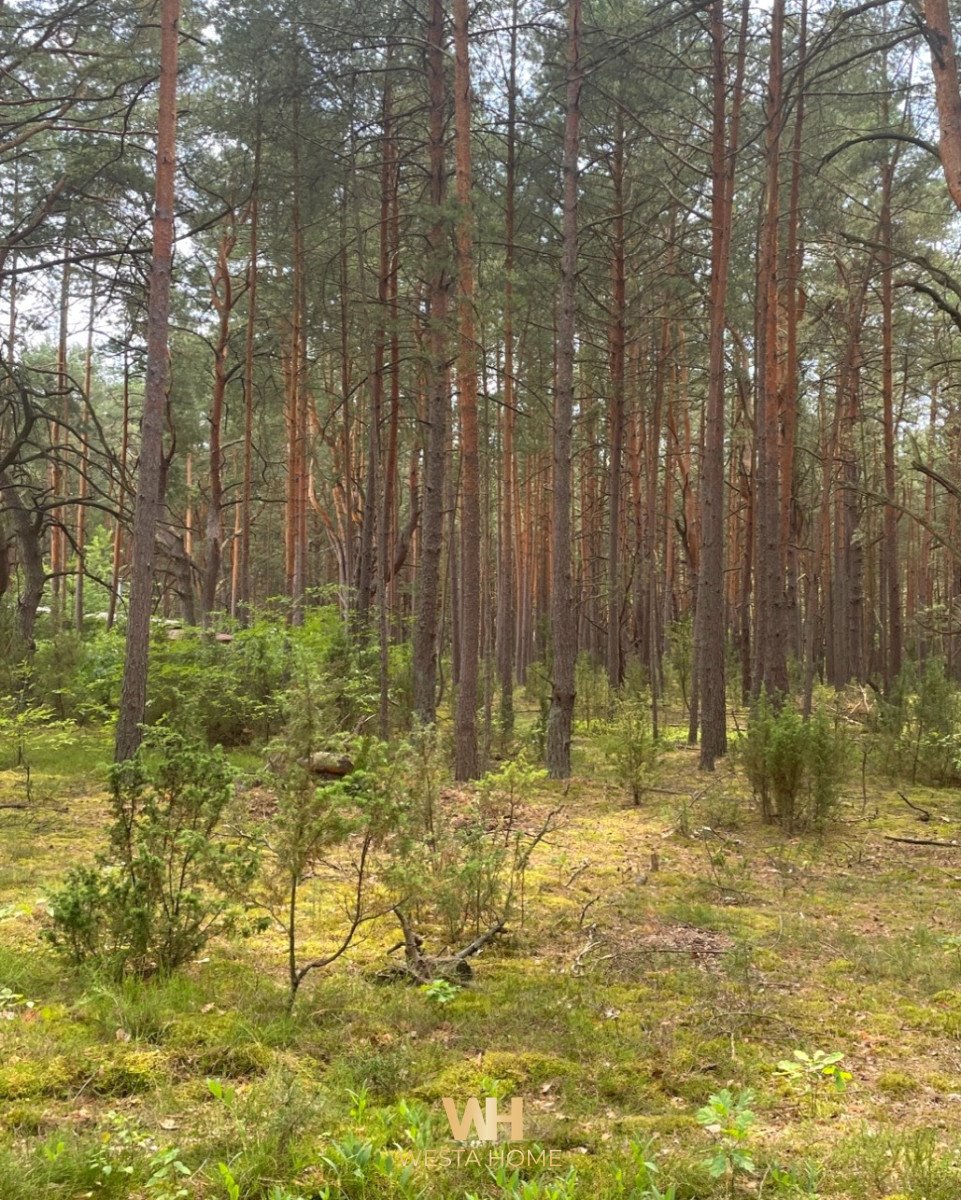 Działka budowlana na sprzedaż Somianka  3 509m2 Foto 4