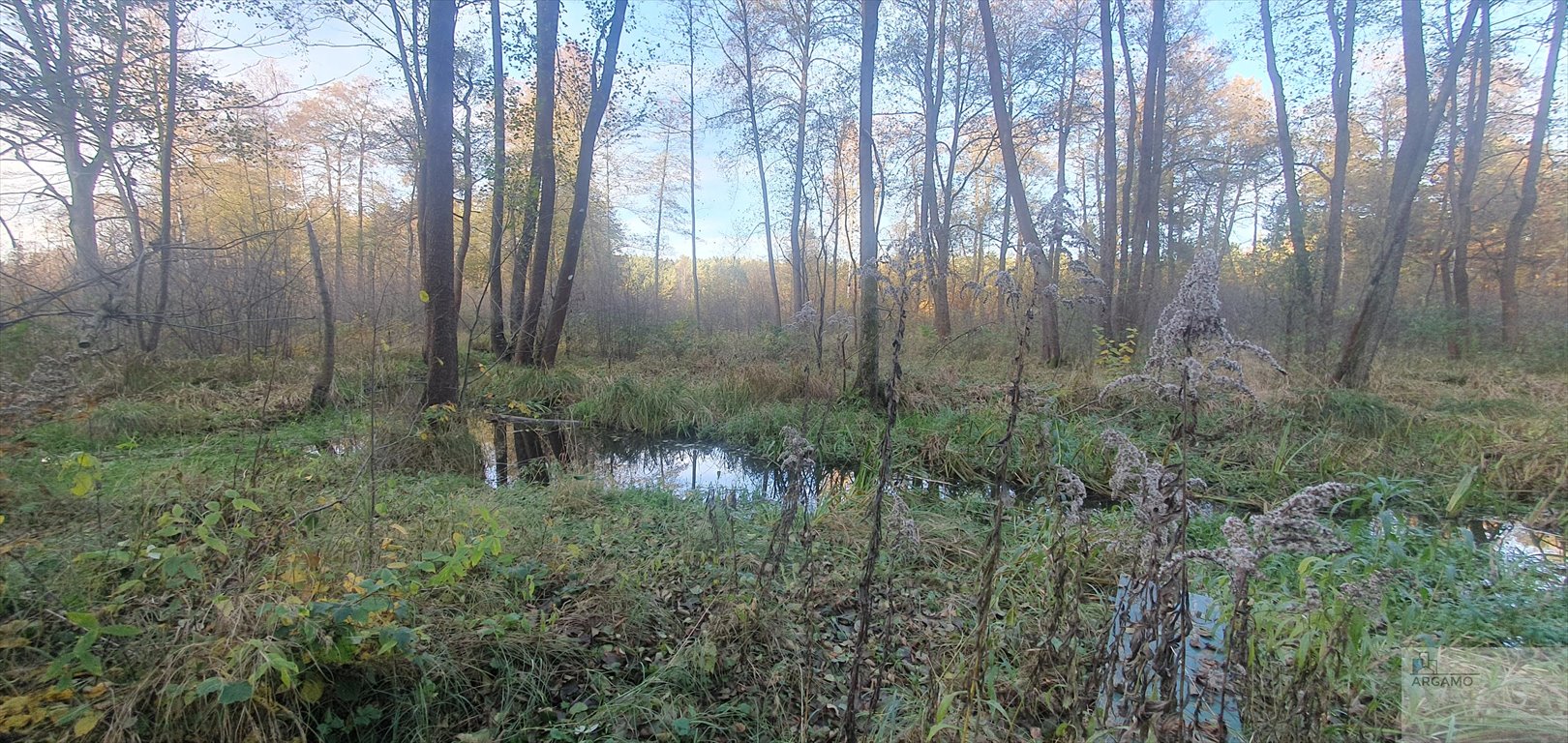 Działka budowlana na sprzedaż Zdów, Źródlana  32 295m2 Foto 4
