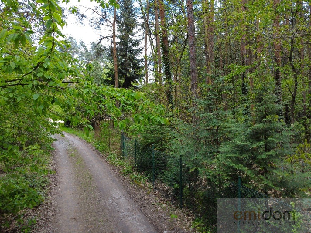 Działka leśna na sprzedaż Siestrzeń  3 000m2 Foto 3