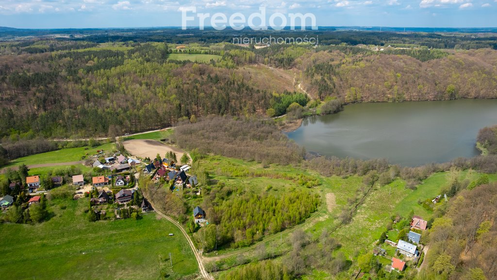 Działka inna na sprzedaż Klonowo Dolne, Trakt Leśny  42 426m2 Foto 20