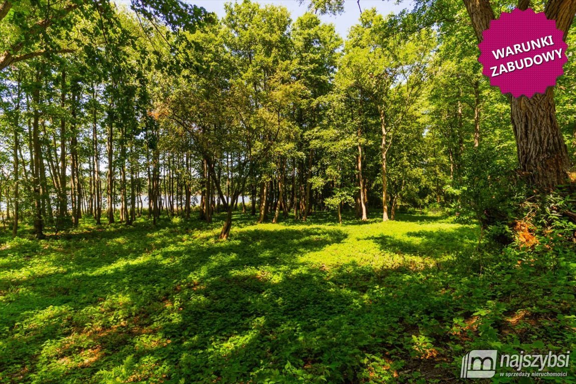 Działka 3000m2 z warunkami zabudowy i dostępem do jeziora Wolin, obrzeża  3 000m2 Foto 1