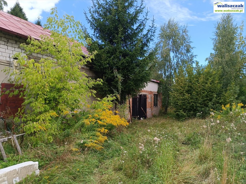 Działka 1,37ha z budynkami i mediami, Wadlew, cena 169 tys Wadlew  13 694m2 Foto 1