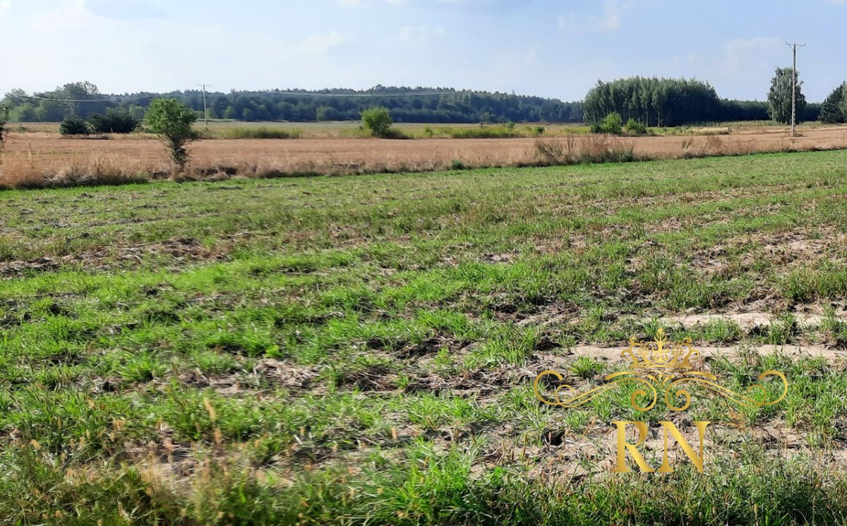 Działka rolna na sprzedaż Rudno  10 400m2 Foto 6