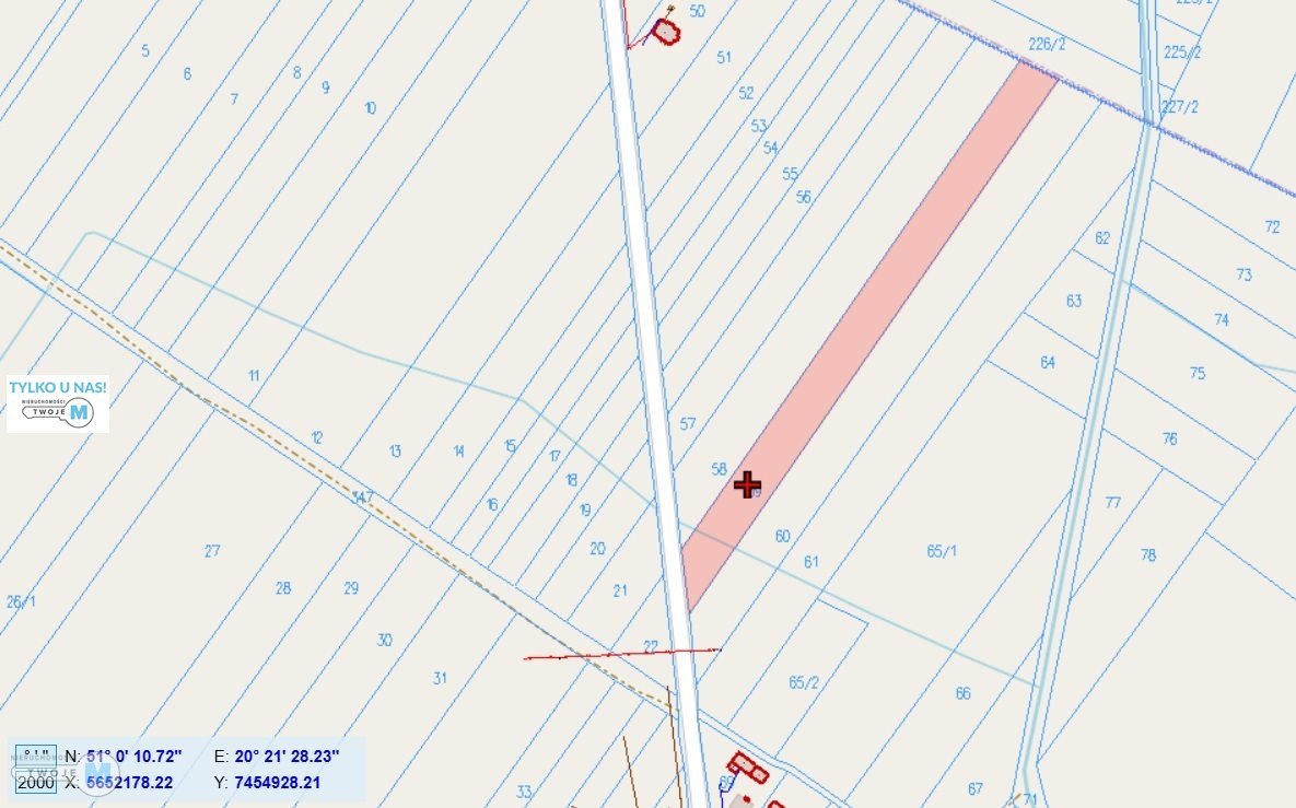 Zapraszam do zakupu działki 8 800 m² w Mniów Wólka Kłucka Mniów, Wólka Kłucka  8 800m2 Foto 1