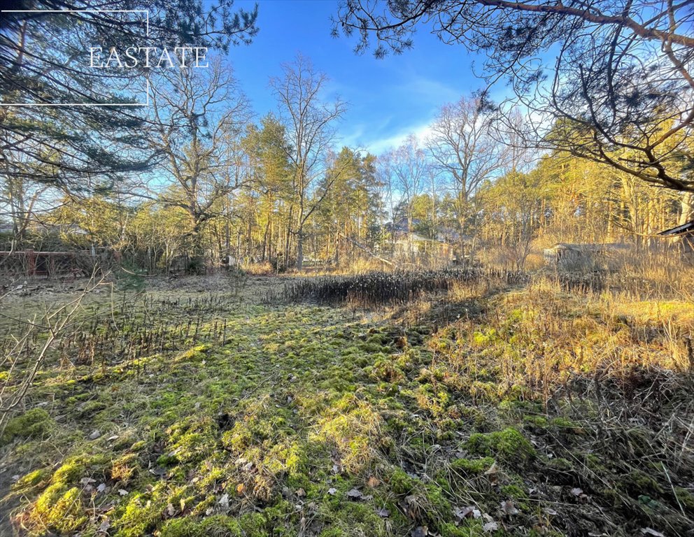 Działka budowlana na sprzedaż Warszawa, Wawer  3 250m2 Foto 1