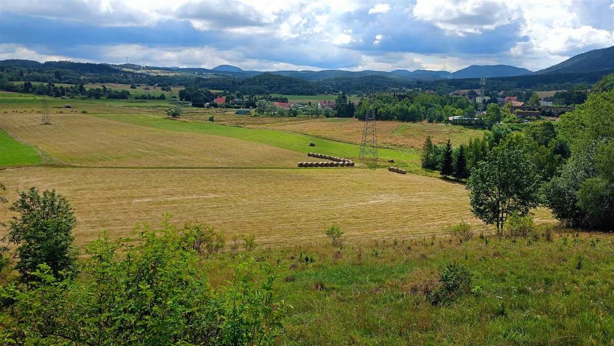 Działka budowlana na sprzedaż Boguszów-Gorce  9 510m2 Foto 5