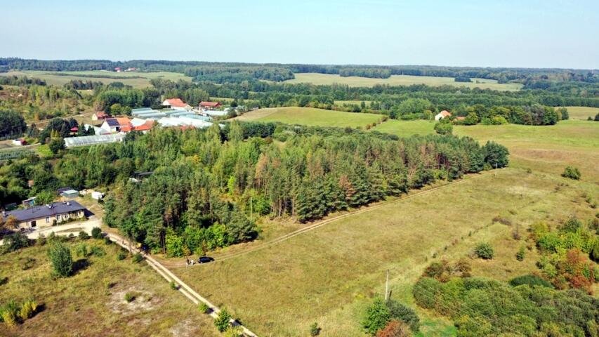 Działka budowlana na sprzedaż Ogonki  8 100m2 Foto 2