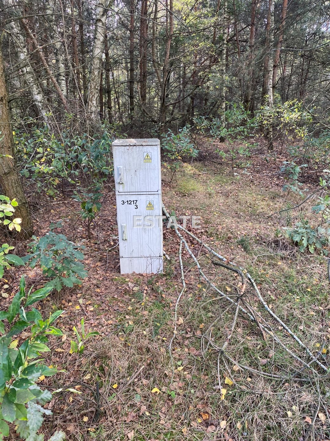 Działka budowlana na sprzedaż Kiki  2 335m2 Foto 4