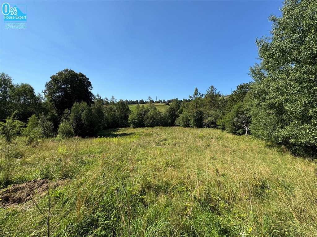 Działka 8,9 ha pod zabudowę w Złockiem z widokami Złockie  8 900m2 Foto 1