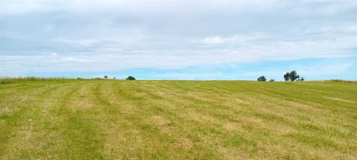 Działka rekreacyjna na sprzedaż Michałkowa, Michałkowa  3 446m2 Foto 3