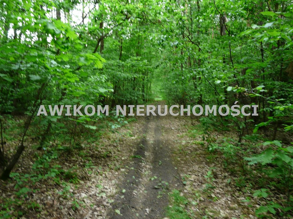 Działka leśna na sprzedaż Budy Chojnackie  1 800m2 Foto 1