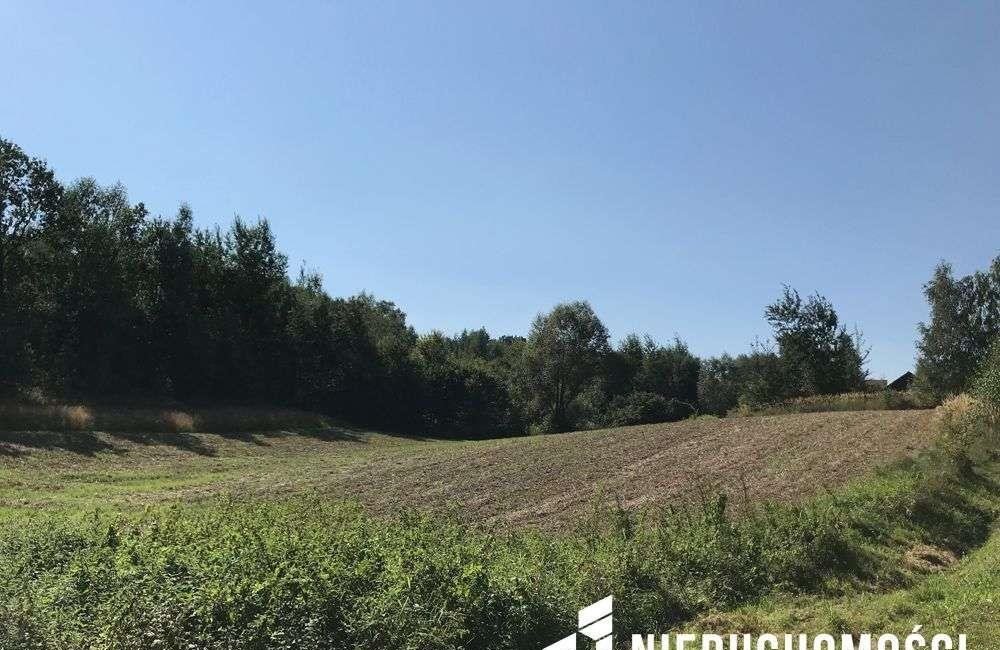 Działka inna na sprzedaż Lgota  2 996m2 Foto 2