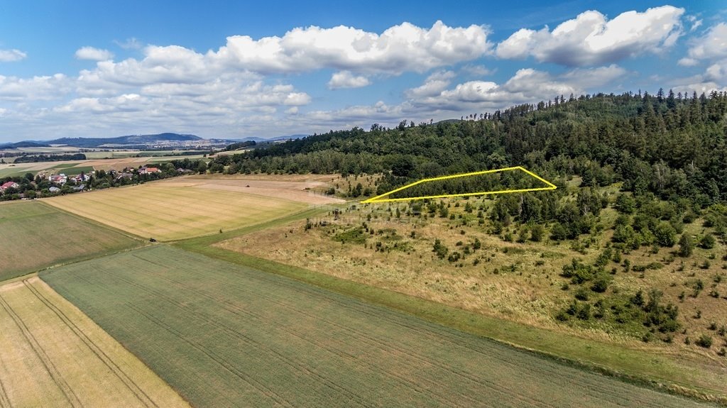 Działka rolna na sprzedaż Bierkowice  17 000m2 Foto 4