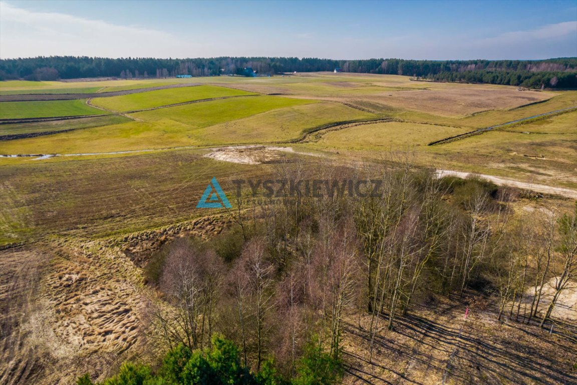 Działka rolna na sprzedaż Kurcze  3 517m2 Foto 3