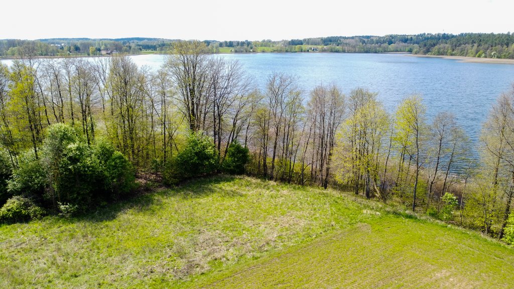 Działka budowlana na sprzedaż Ogrodniki  10 879m2 Foto 6