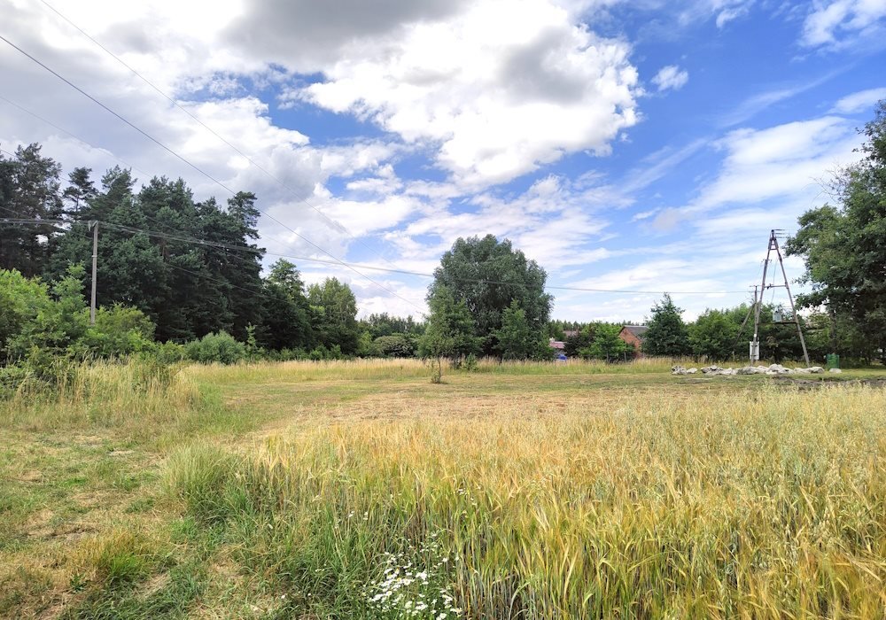 Działka rekreacyjna na sprzedaż Dąbrówka Zabłotnia  3 000m2 Foto 6