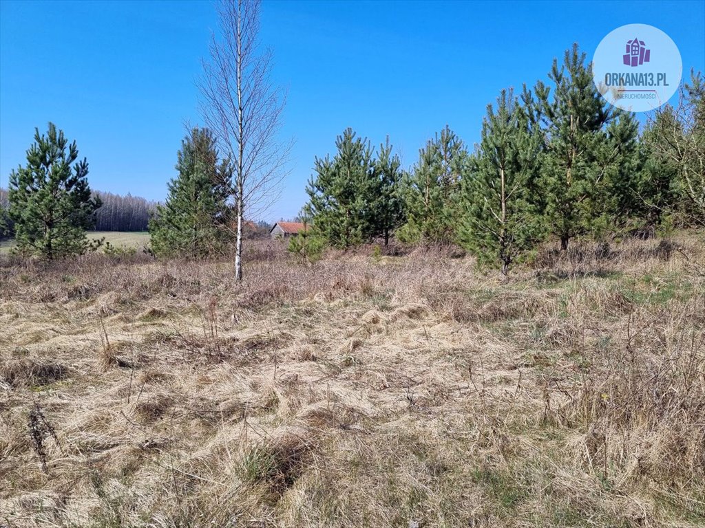 Działka budowlana na sprzedaż Biesówko, Biesówko  5 771m2 Foto 7