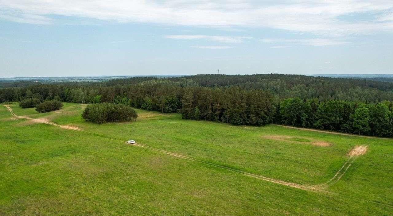 Działka rolna na sprzedaż Nowe Krzywe  3 011m2 Foto 7