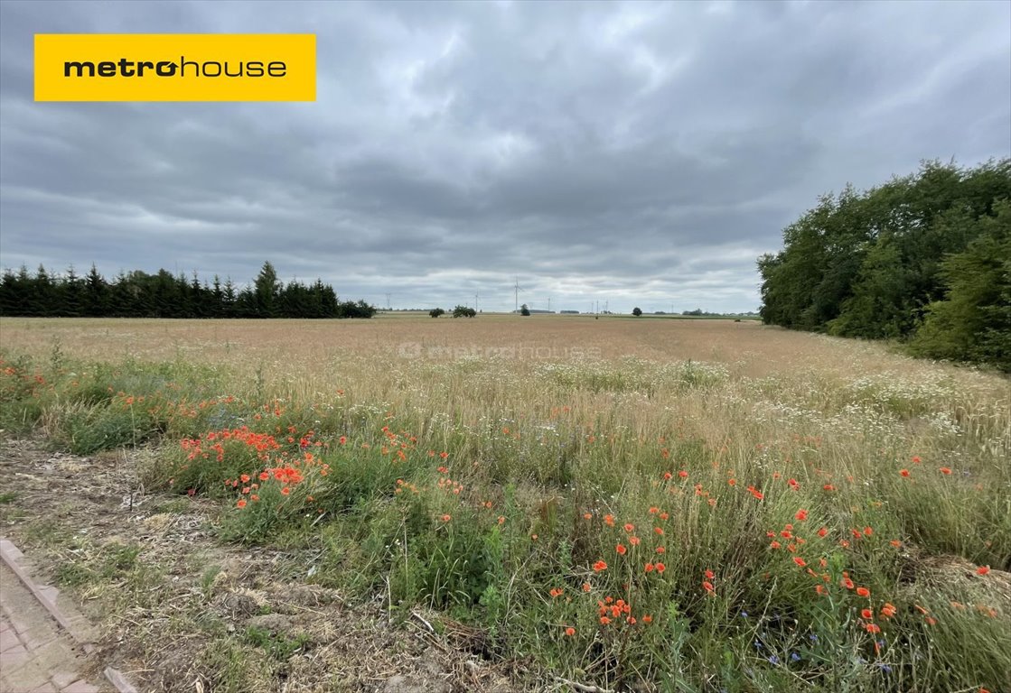 Działka inna na sprzedaż Korytnica, Sienkiewicza  4 151m2 Foto 1