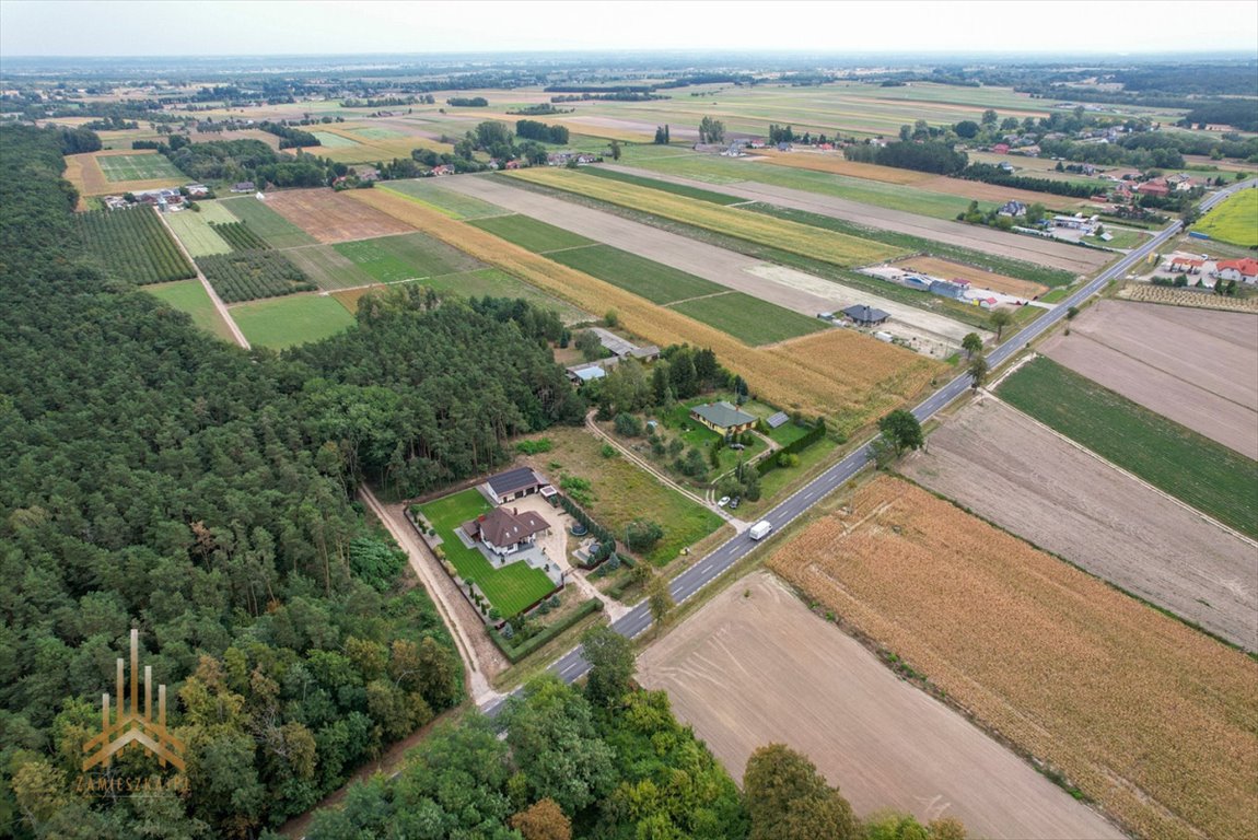 Działka przemysłowo-handlowa na sprzedaż Topólno, Muchowo  20 200m2 Foto 5