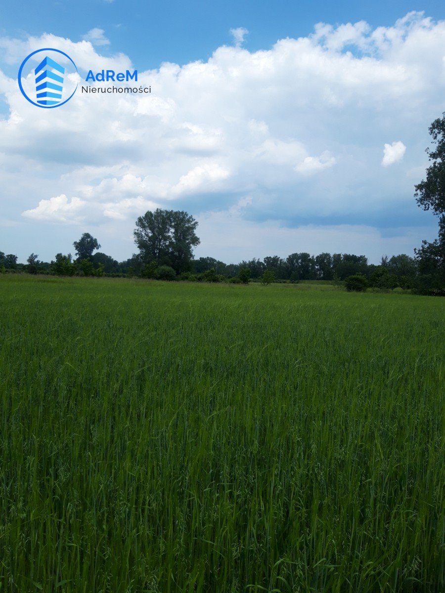 Działka rolna 7 415 m² z potencjałem w Podłęczu Podłęcze  7 415m2 Foto 1