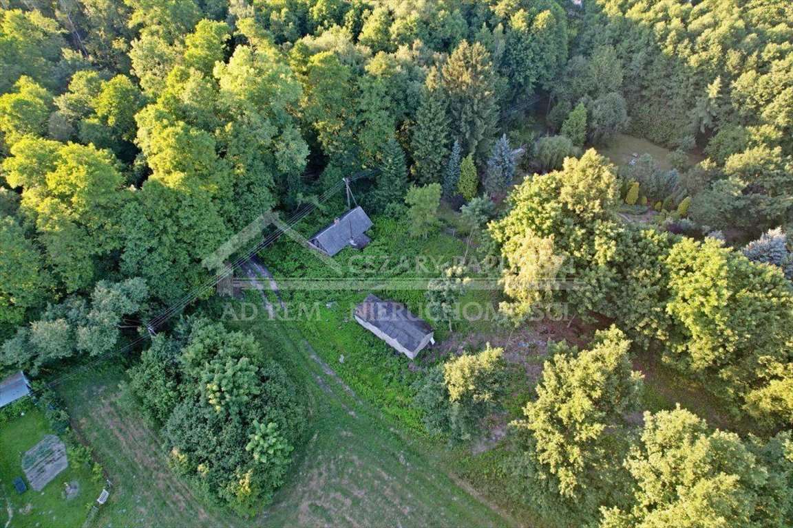 Lokal użytkowy na sprzedaż Poniatowa, Leśniczówka, Leśniczówka  21 671m2 Foto 2