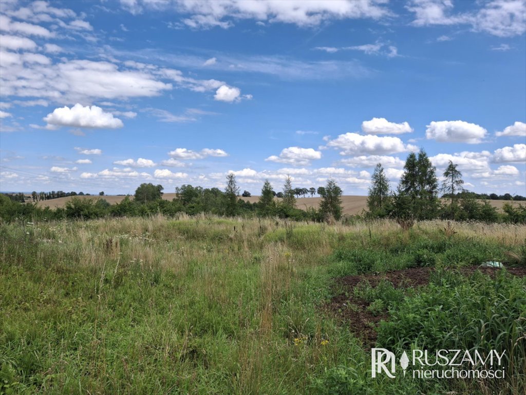 Działka budowlana na sprzedaż Malbork, Nowa Wieś  4 794m2 Foto 8