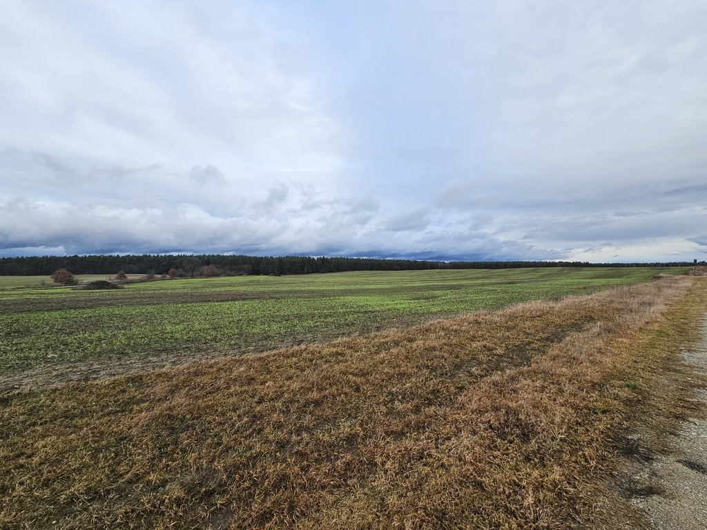 Działka budowlana na sprzedaż Janczewo  1 111m2 Foto 2