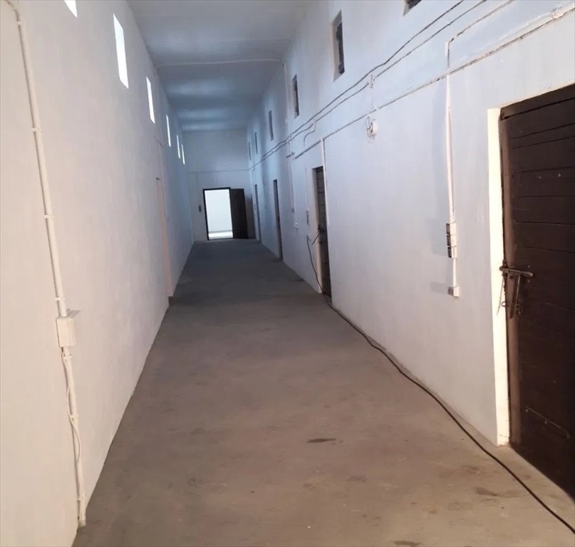 Lokal użytkowy na wynajem Palmiry  550m2 Foto 6