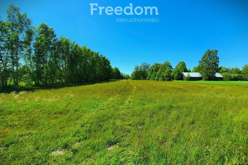 Działka rolna na sprzedaż Maksymilianów  38 300m2 Foto 1