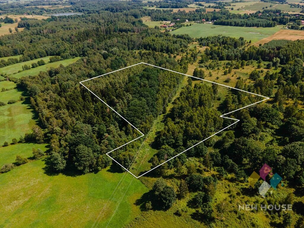 Działka rolna z lasem 4,6 ha w Szałstrach - zapraszam Szałstry  46 160m2 Foto 1