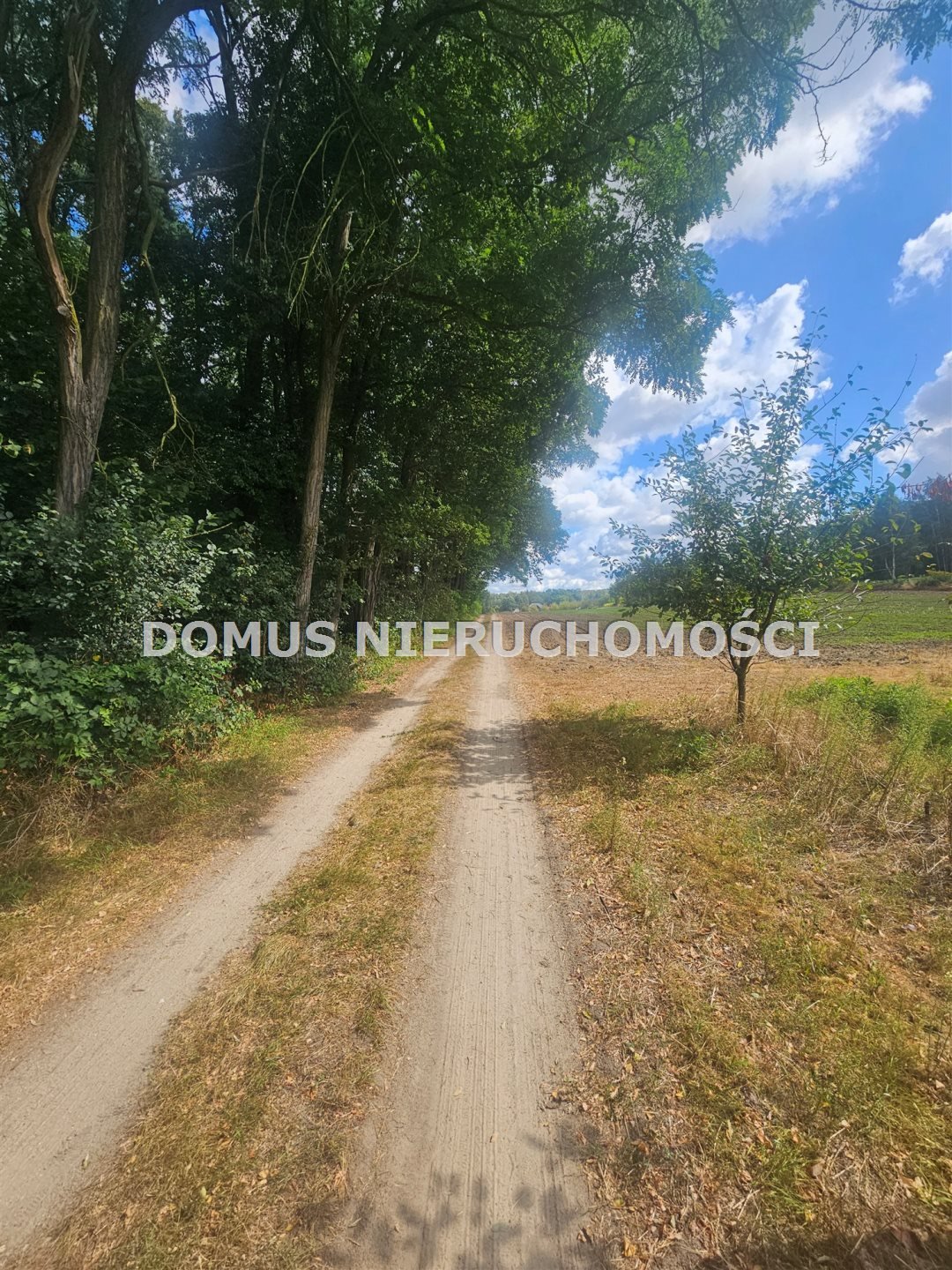 Leśna działka w Nagawkach 1915 m² – idealna pod inwestycję Nagawki  1 915m2 Foto 1