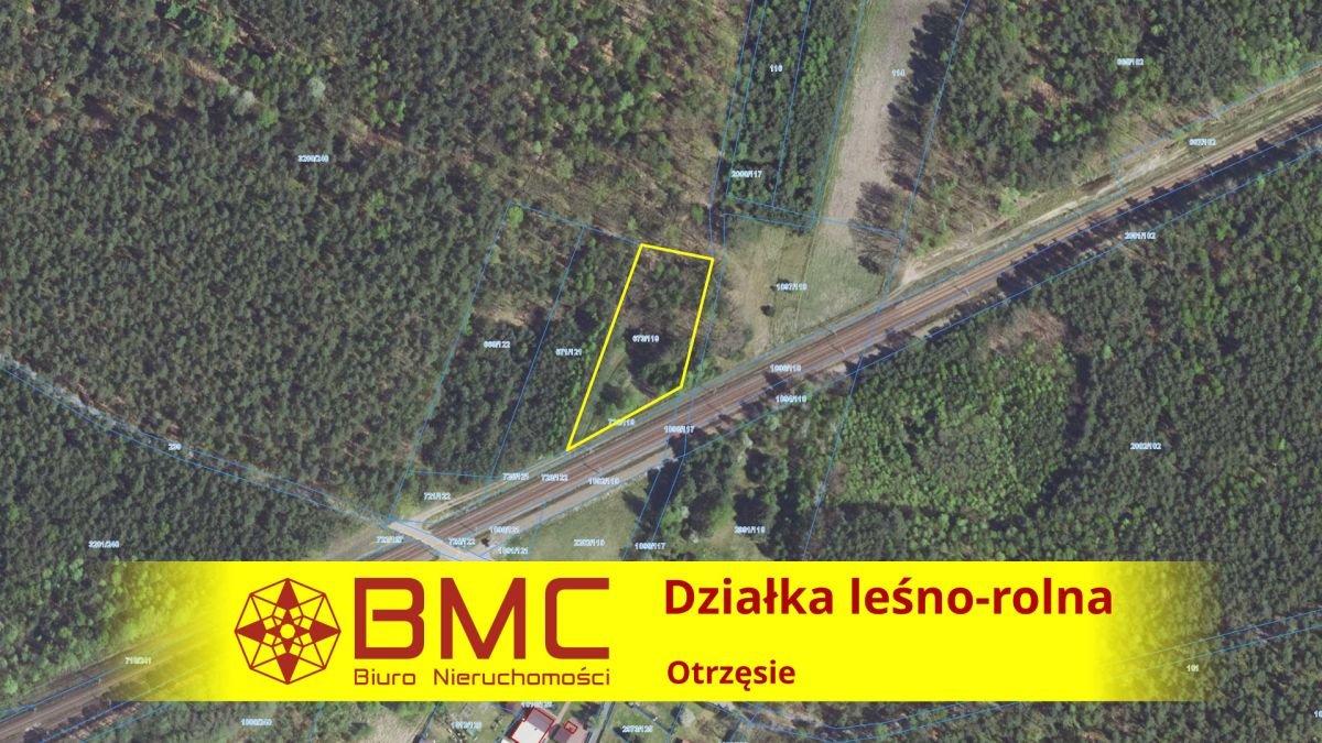 Działka leśna na sprzedaż Chwostek, Otrzęsie  2 909m2 Foto 1