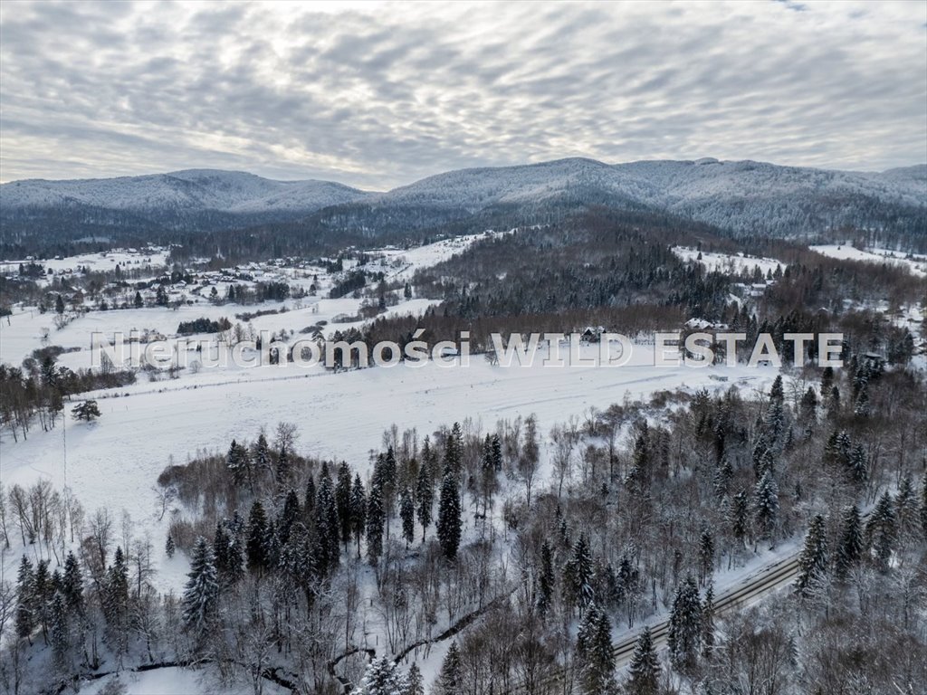 Działka inna na sprzedaż Cisna, Strzebowiska  68 700m2 Foto 6