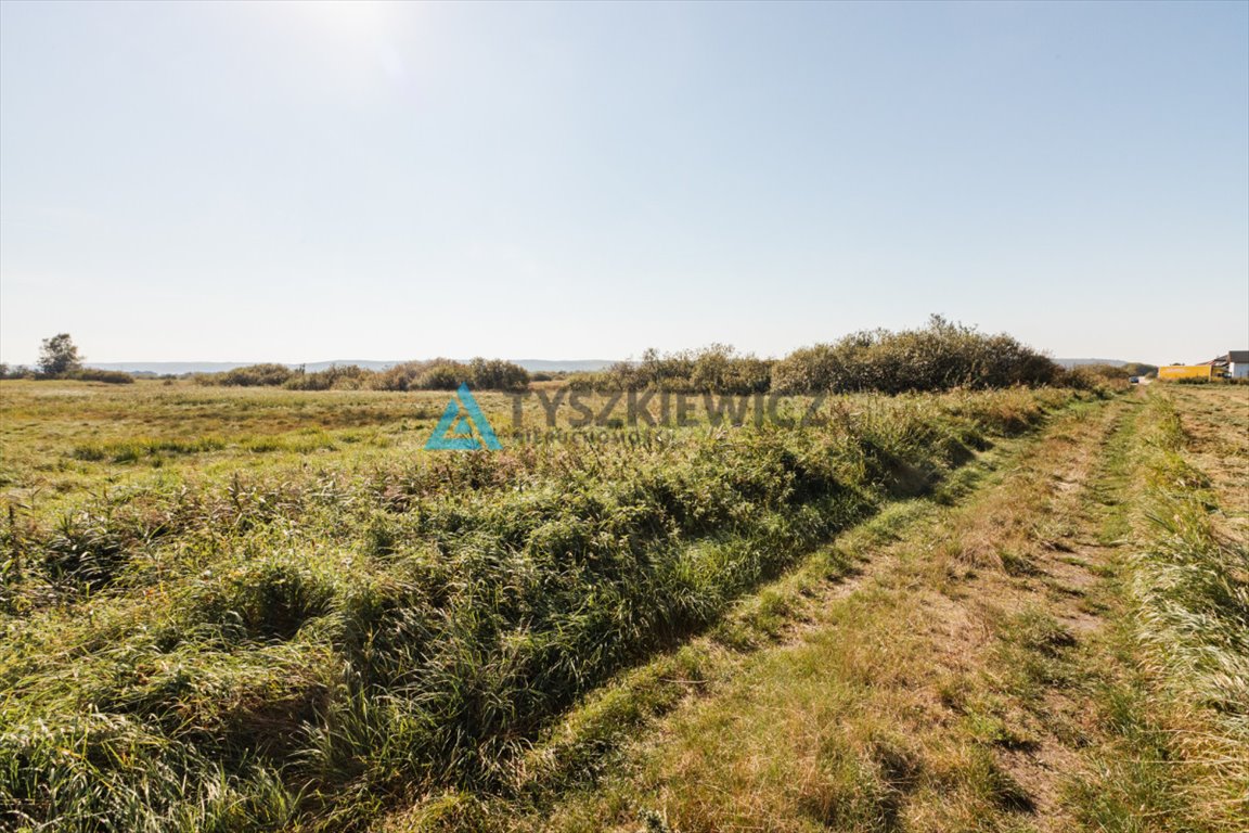 Działka rolna na sprzedaż Reda, Rolnicza  15 800m2 Foto 11