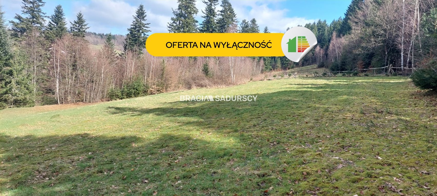 Działka rolna z możliwością zabudowy, piękne widoki - zapraszam Borzęta, Myślenice, Myślenice  8 000m2 Foto 1
