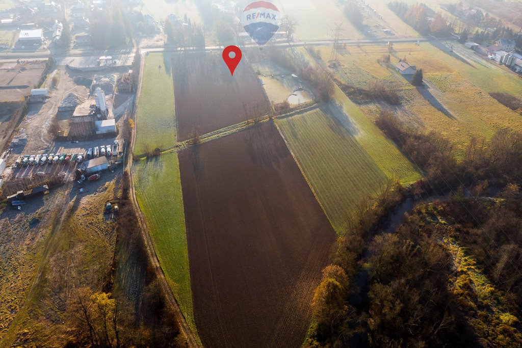 Działka komercyjna na sprzedaż Krzywaczka  8 200m2 Foto 12