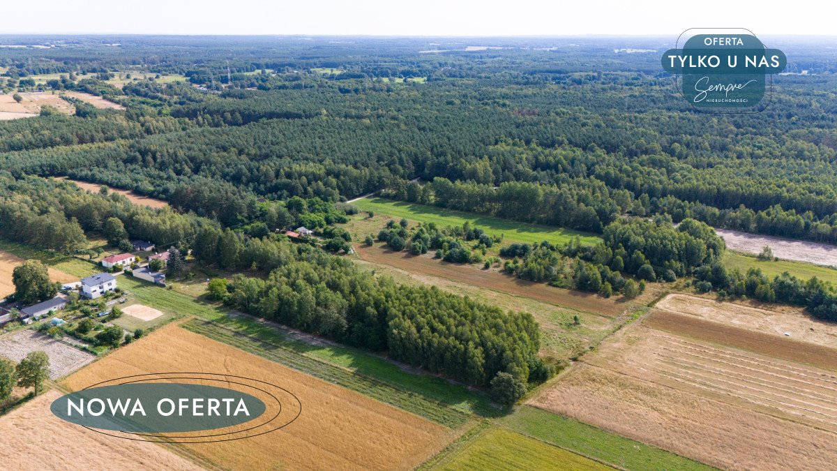 Działka rolna na sprzedaż Zelów  26 000m2 Foto 4