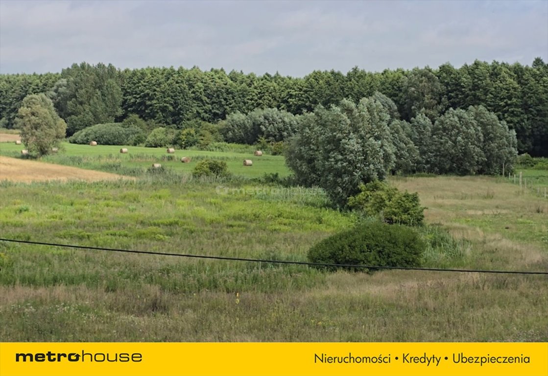 Działka budowlana na sprzedaż Półmieście  15 900m2 Foto 3