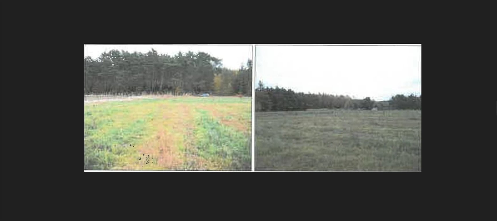 Polecam działki 0,5 ha w Dobiegniewie - atrakcyjna cena 135 tys. zł Dobiegniew, Dobiegniew  4 999m2 Foto 1
