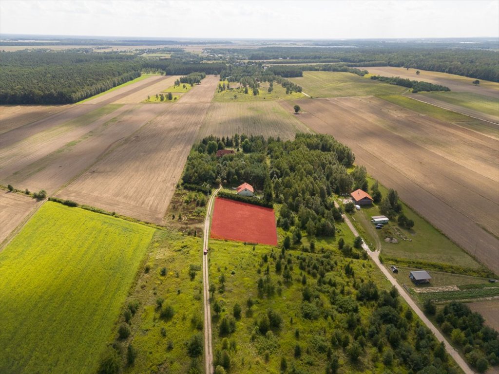 Działka budowlana na sprzedaż Szczypiorno  2 801m2 Foto 10