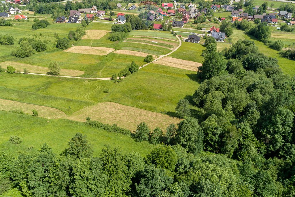 Działka rolna na sprzedaż Tenczyn  3 280m2 Foto 12