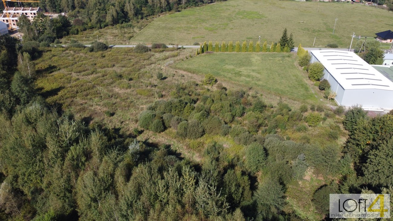 Działka budowlana na sprzedaż Łęki  3 600m2 Foto 5