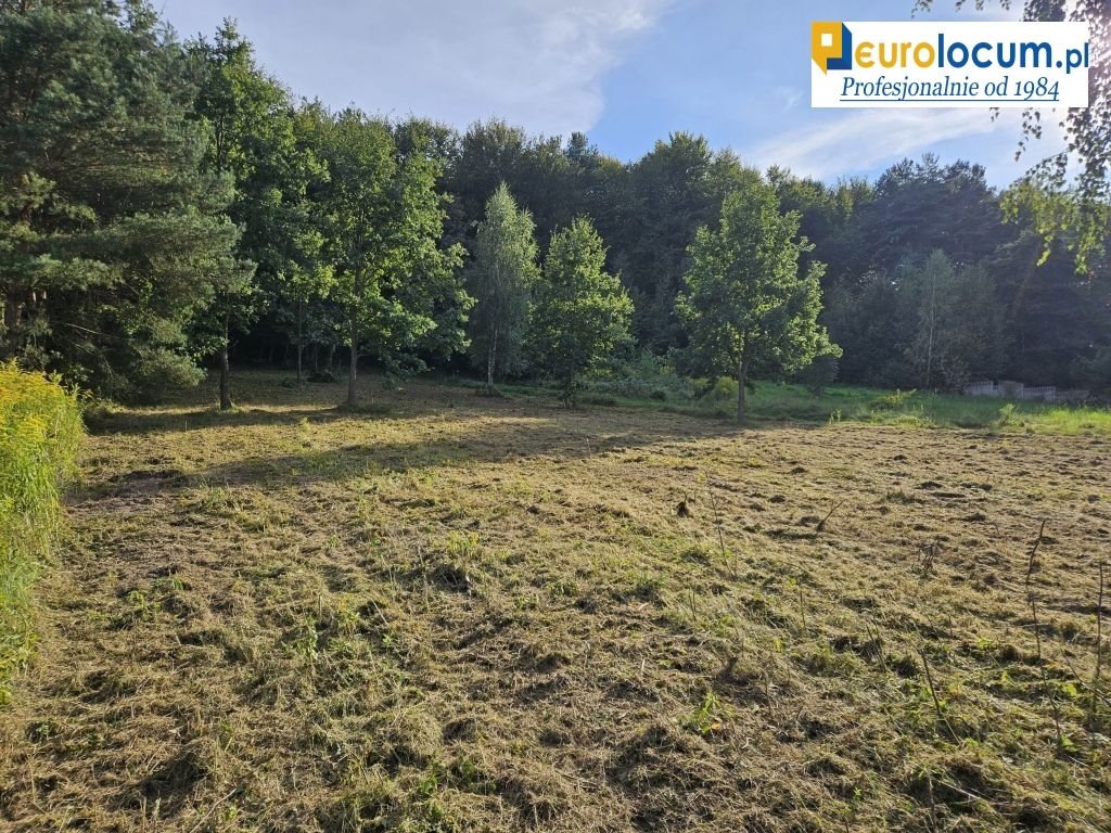 Działka budowlana na sprzedaż Kielce, Zalesie, Przegony  8 471m2 Foto 1